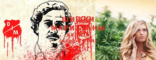 не бодяженный Протвино